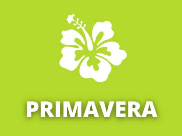 Primavera 🌺