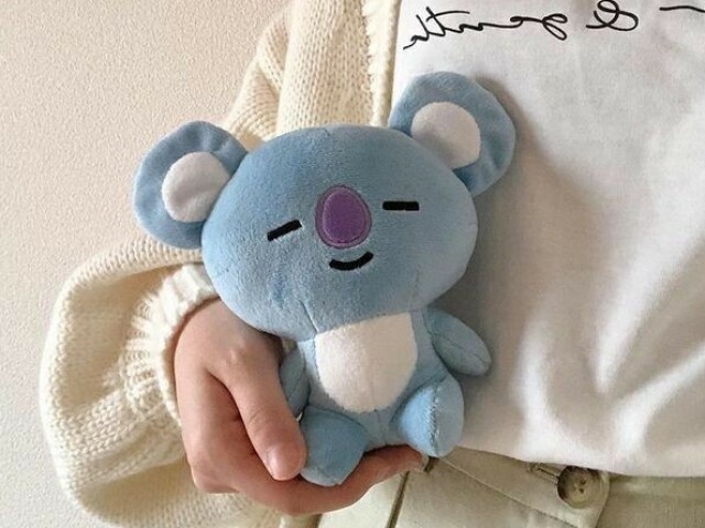 Koya💙