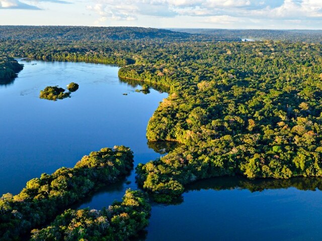 Floresta Amazônica