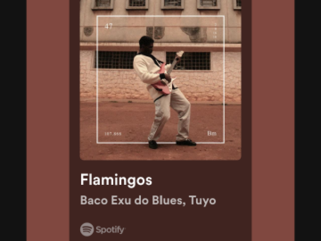 Flamingos-baco Exu do blues