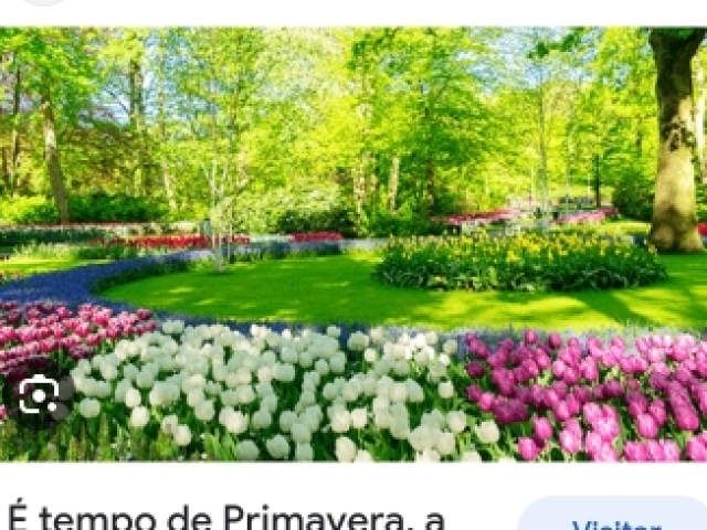 Primavera🌸