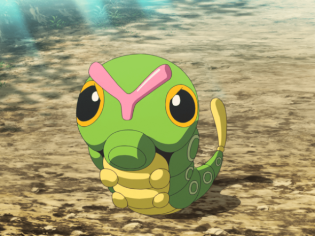 Caterpie