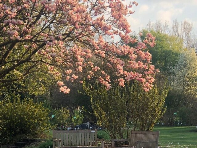 Primavera💗🌷