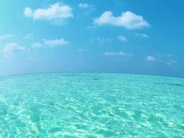 Verão