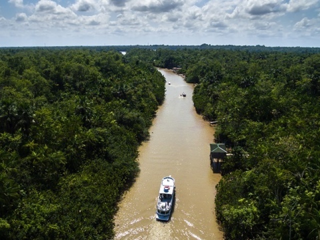 Rio Amazonas, Rio Azul e 
Rio Juruá.