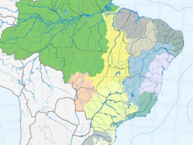 Desmatamento, exploração ilegal, consumo próprio, mineração, mudanças climáticas e outros desafios ameaçam a biodiversidade e a estabilidade da bacia amazônica.