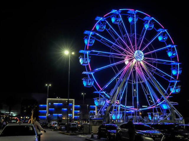 Roda gigante