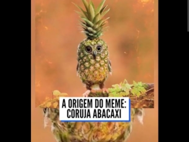 Não