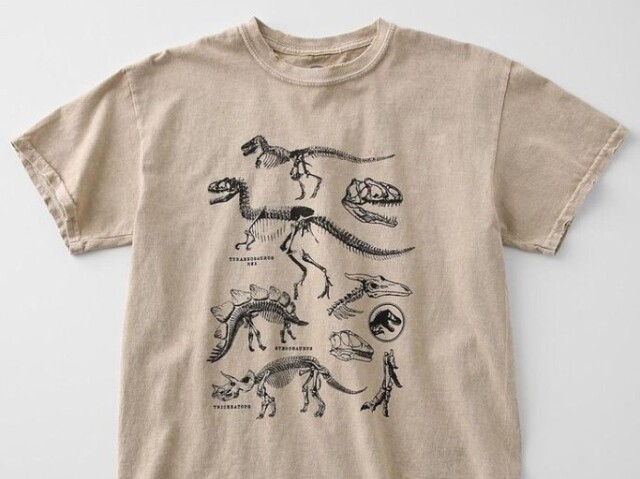 ossos de dinossauro! ๐ฆ๐ฆด