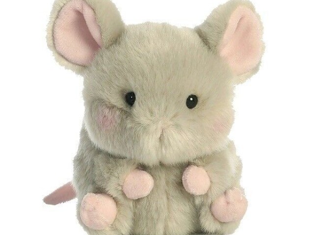 Ratinho! ๐๐ค