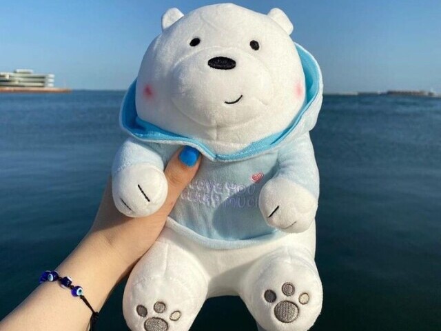 Urso de pelúcia 🧸✨