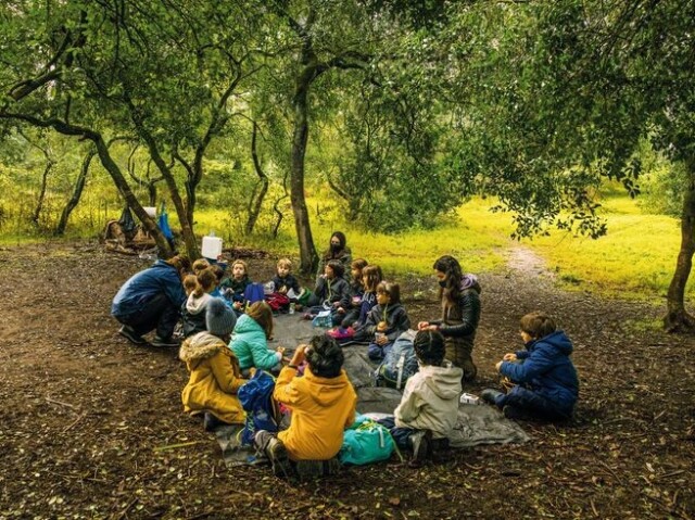 Forest School. Uma escola que ensina na natureza e de forma humanizada.