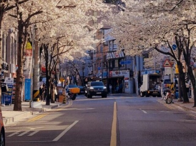 Coréia do Sul 🇰🇷