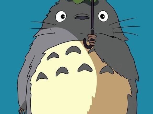 Meu amigo Totoro