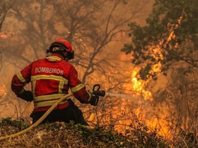 Incêndios florestais.