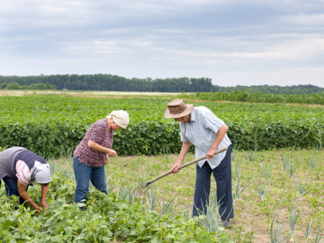 Agricultura.