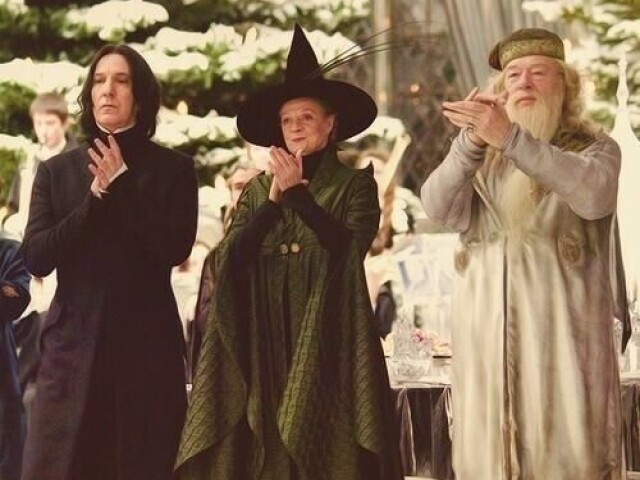 Trio diamante
°Professor Snape
°Diretor dumboldore
°Professor McGonagall/minerva