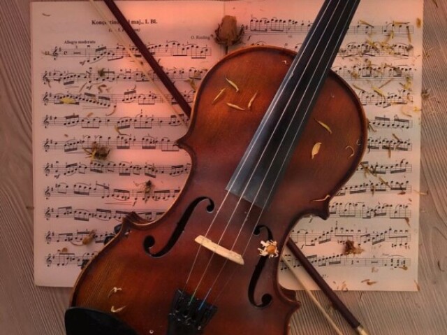 ♡☆Violino.