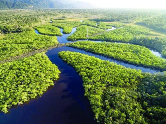 Amazônia