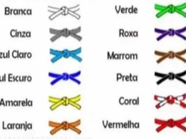 Branca - Cinza - Azul Claro - Azul Escuro - Amarela - Laranja - Verde - Roxo - Marrom - Preta - Coral - Vermelha.