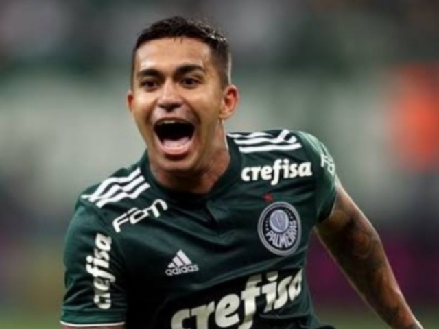 Dudu do Palmeiras