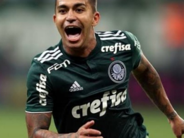 Dudu do Palmeiras