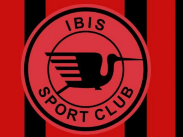 Ibis