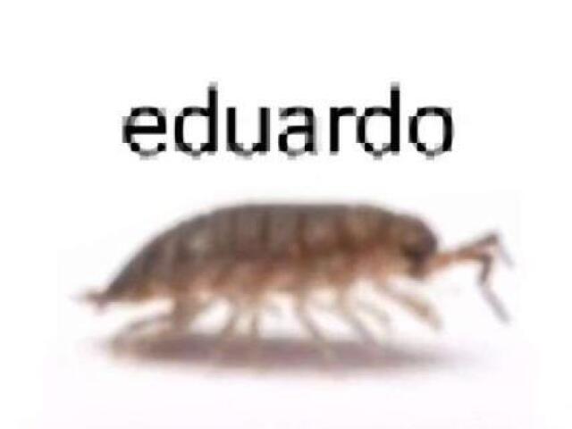 nem um