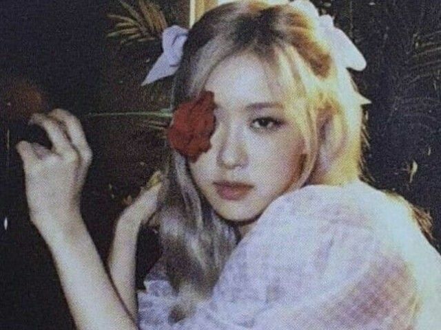 Rosé