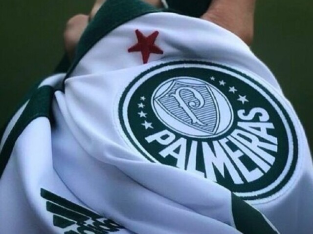 Palmeiras 🥰