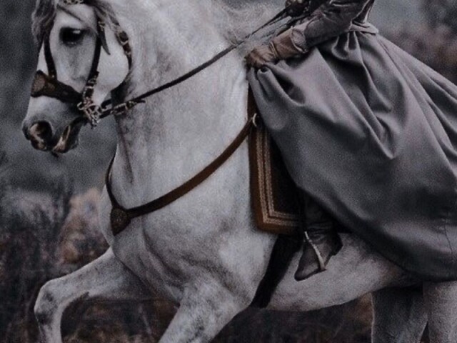 Andar a cavalo ๐
