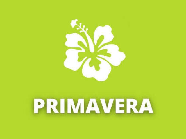 Primavera 🌸