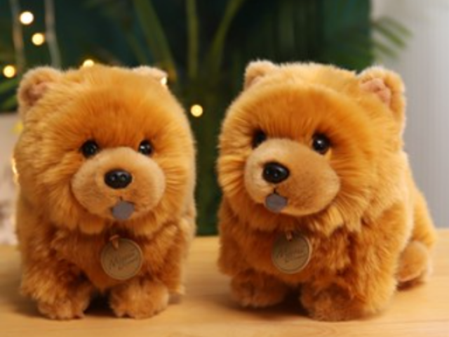 ~ โ
๐งบChow-chow๐งบ โ
~