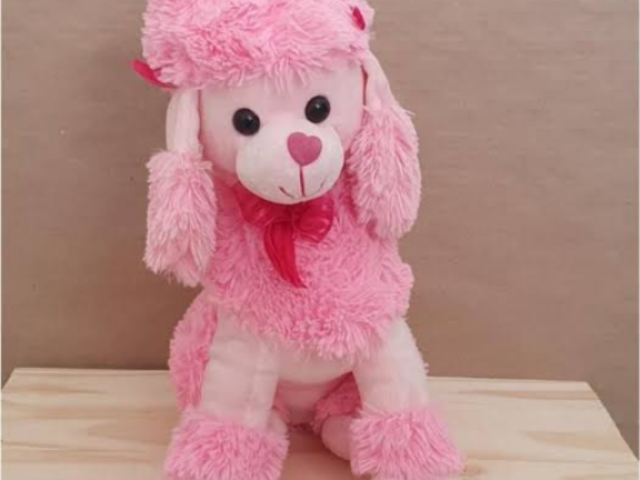 ~ โ
๐งผpoodle๐งผ โ
~