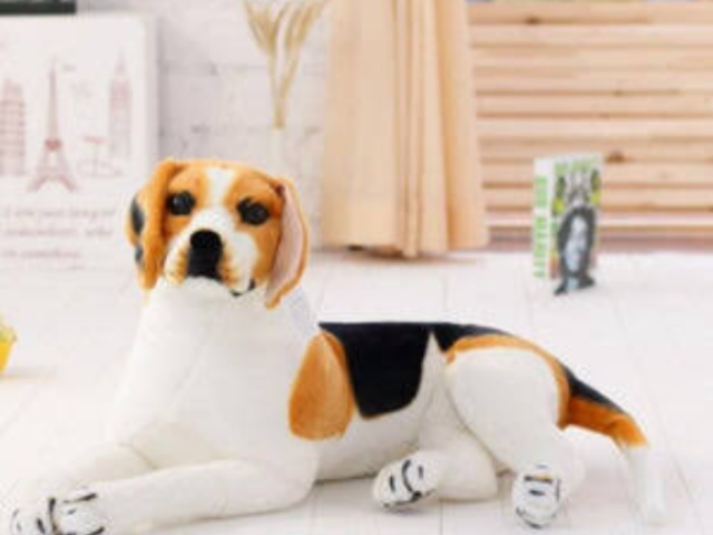 ~ โ
๐บBeagle๐บ โ
~