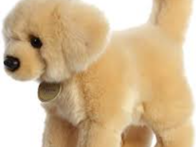 ~ โ
๐งฝGolden๐งฝ โ
~