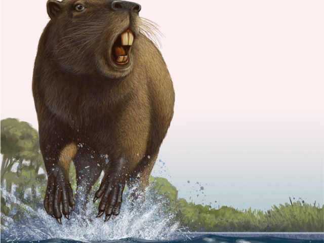 capivara da pre historia