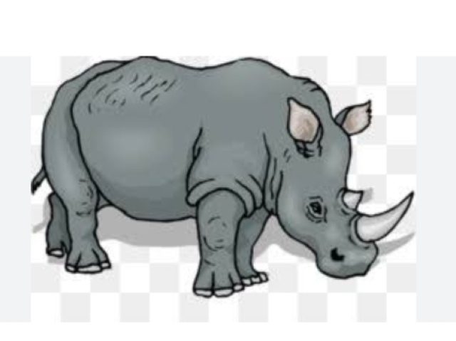 Rino