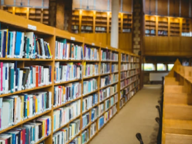 Bibliotecas e projetos de leitura construídos pelas escolas e desprezados por todos estudantes que não demonstram qualquer interesse pelo ingresso nas universidades.