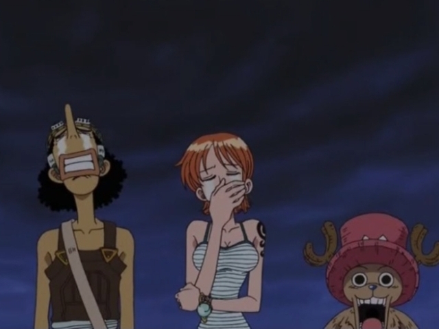 Usopp, Nami e Chopper