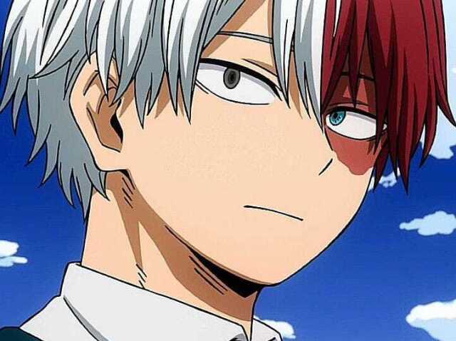 Shoto Todoroki