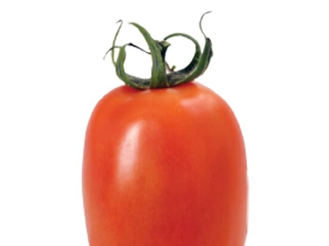 Italian