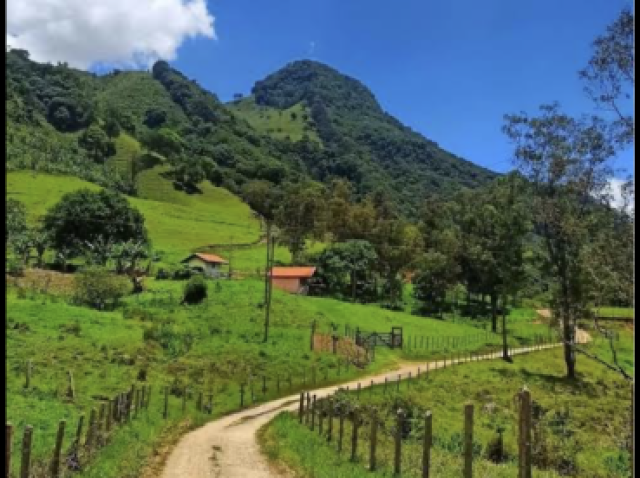 Campo/roça/ interior