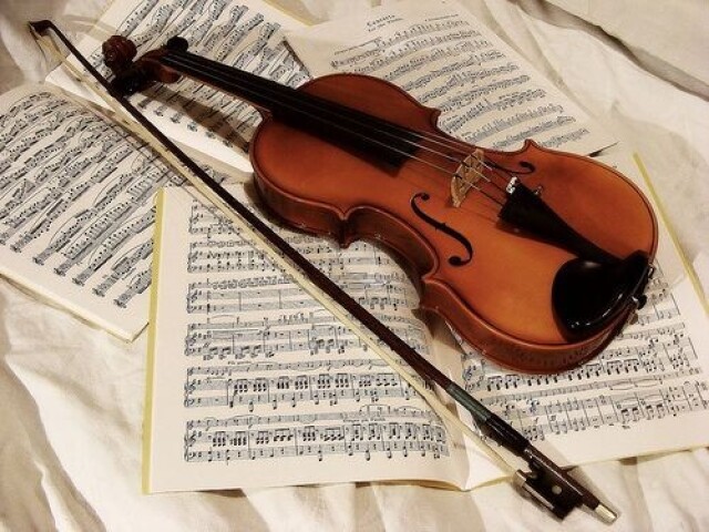 Violino