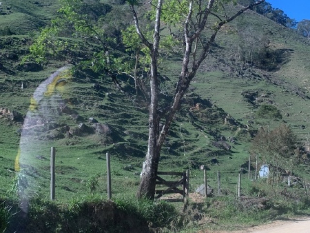 Viajar para algum local com bastante vegetação