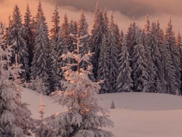 Inverno