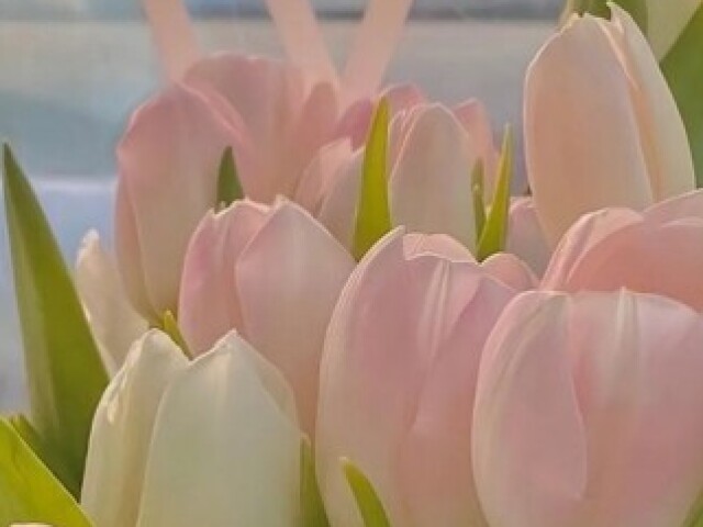 Tulipas