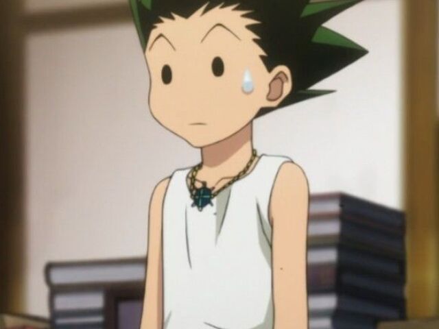 Gon x killua