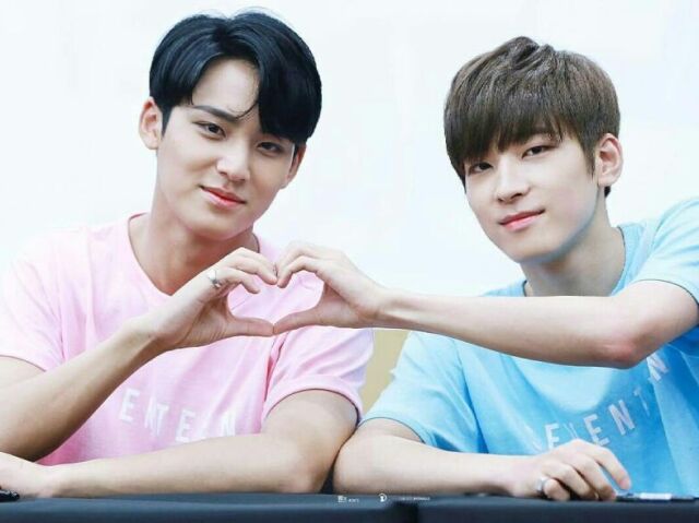 Wonwoo ou Mingyu