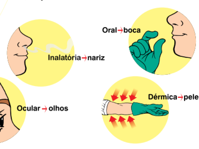 Todas as alternativas estão certas.